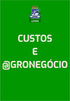 Custos e Agronegocio On Line雜志封面